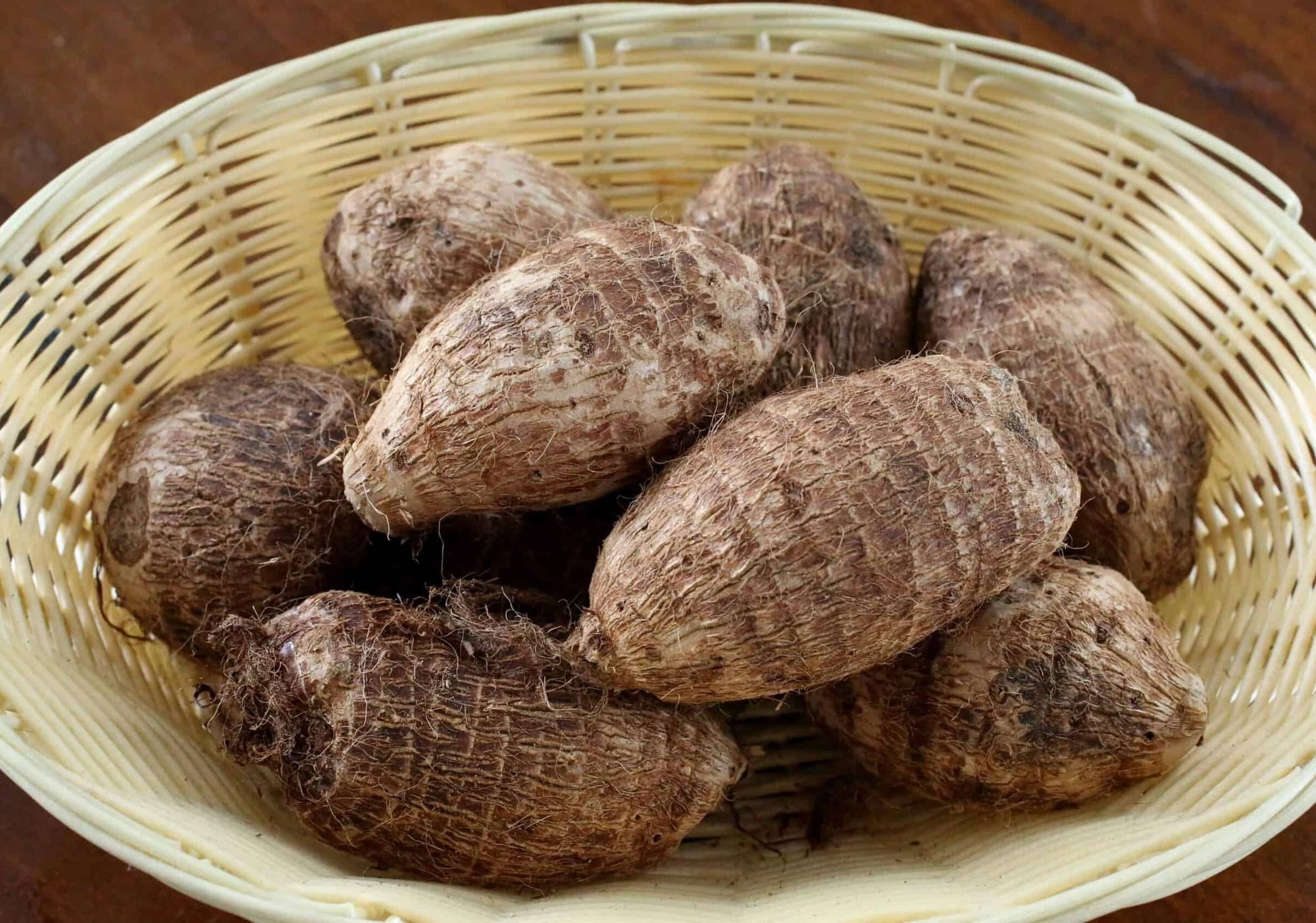Cây khoai môn