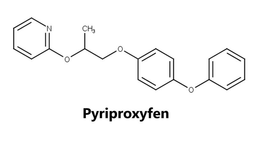 Nhóm thuốc trừ sâu Pyriproxyfen