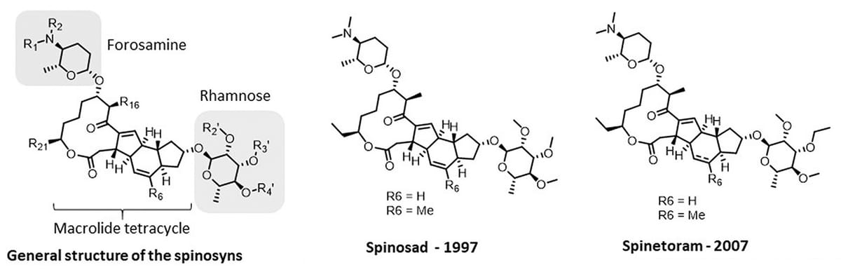 Nhóm thuốc trừ sâu Spinosyn