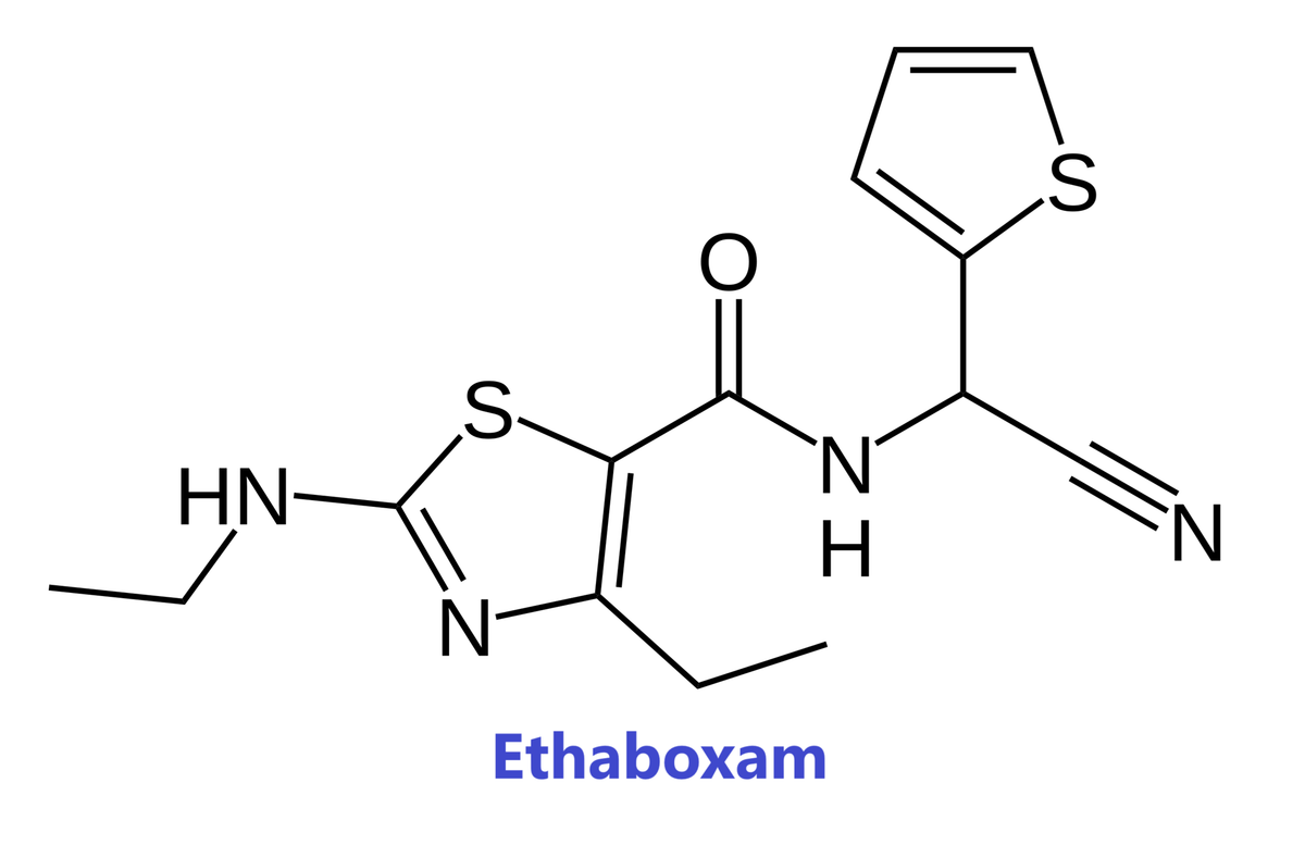 Hoạt chất trừ bệnh Ethaboxam