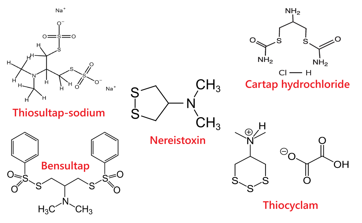 Nhóm thuốc trừ sâu Nereistoxin