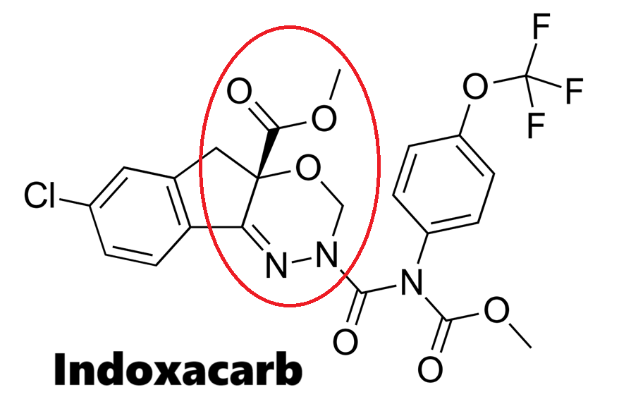 Nhóm thuốc trừ sâu Oxadiazine