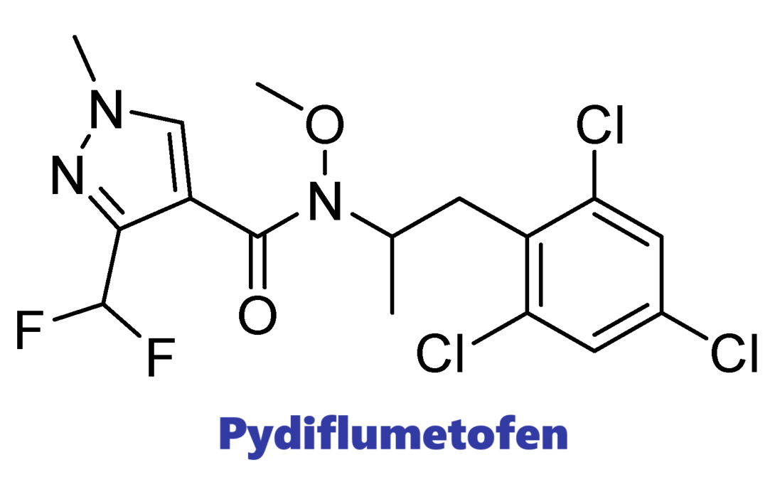Hoạt chất trừ bệnh Pydiflumetofen