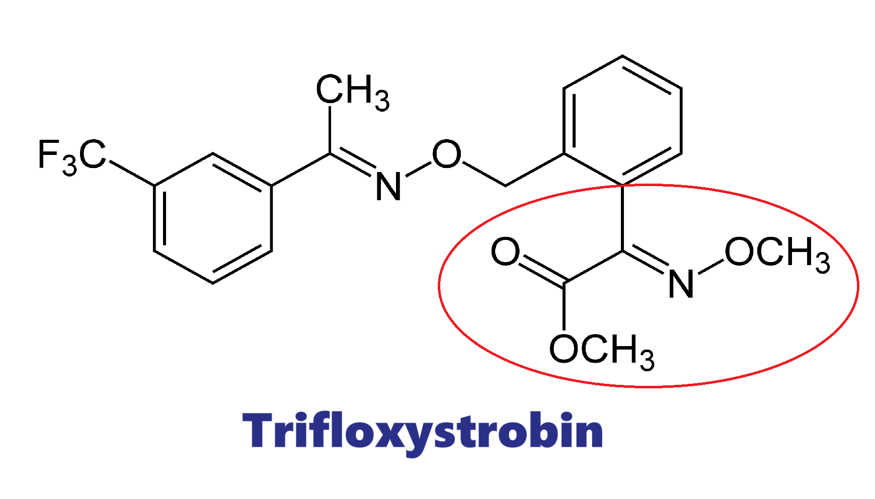 Hoạt chất trừ bệnh Trifloxystrobin