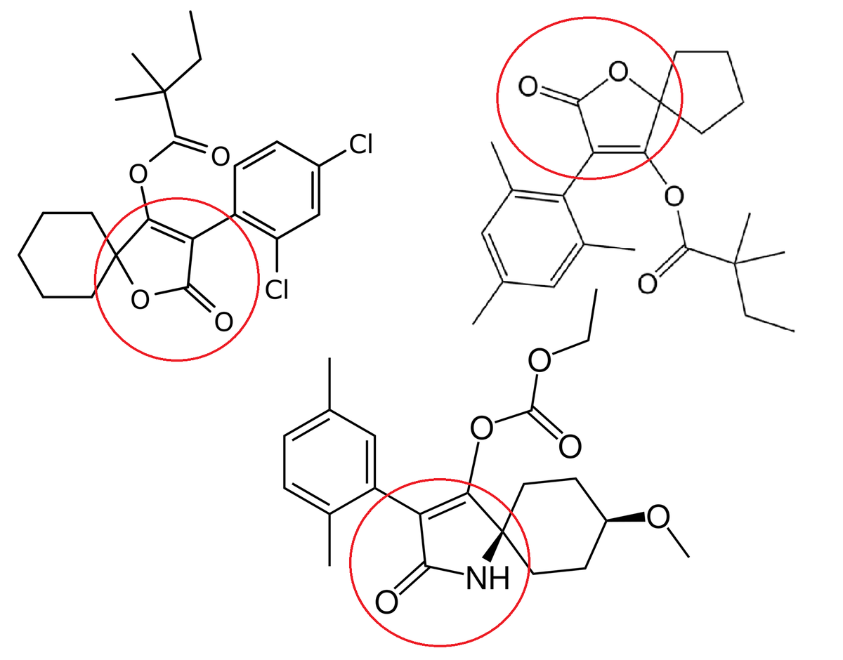 Nhóm thuốc trừ sâu Spiro