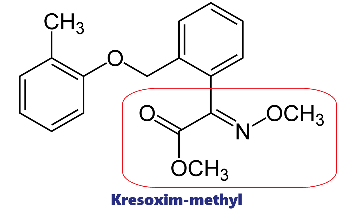 Hoạt chất trừ bệnh Kresoxim-methyl