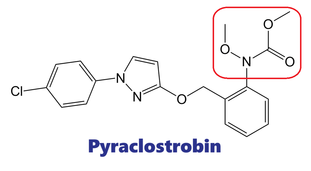 Hoạt chất trừ bệnh Pyraclostrobin