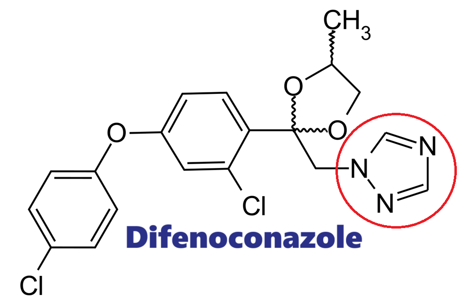 Hoạt chất trừ bệnh Difenoconazole
