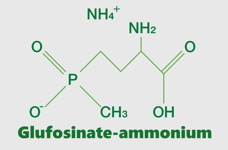 Hoạt chất trừ cỏ Glufosinate-ammonium