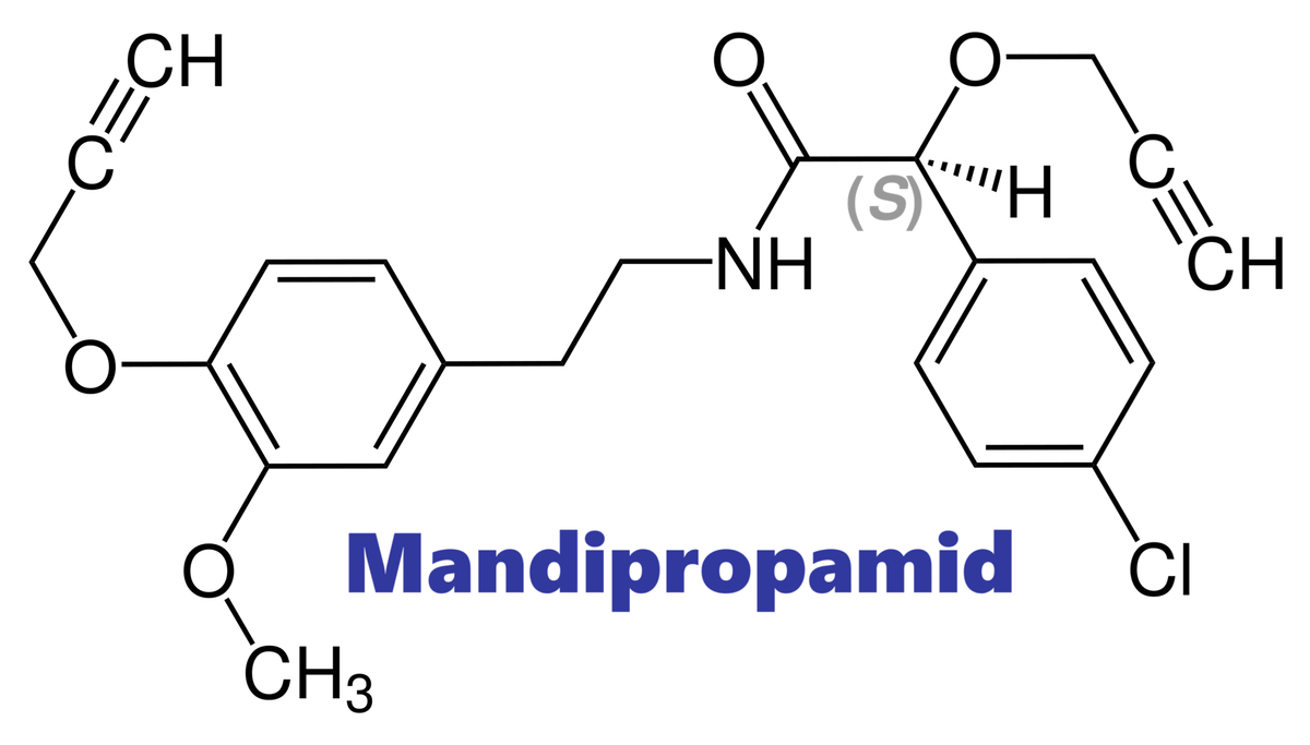 Hoạt chất trừ bệnh Mandipropamid