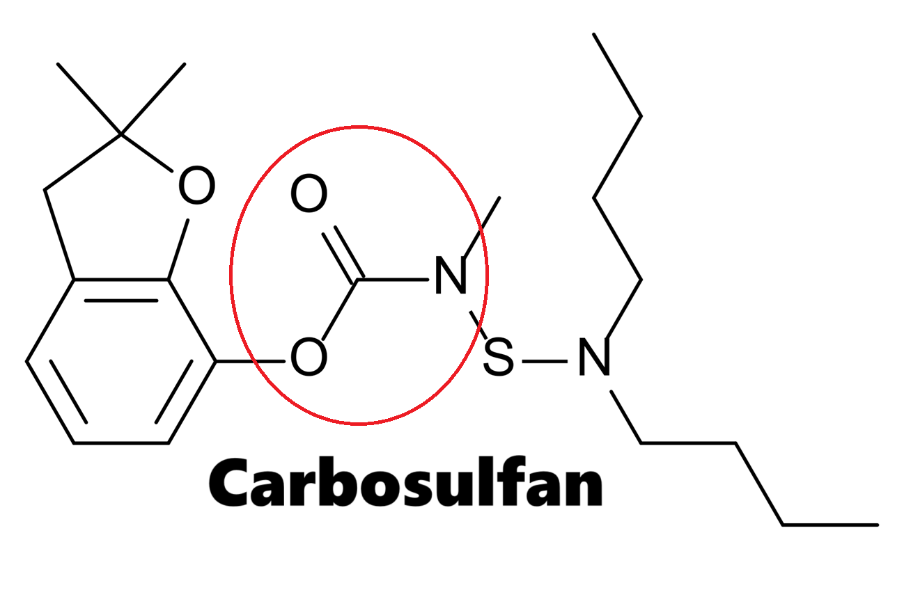 Hoạt chất trừ sâu Carbosulfan