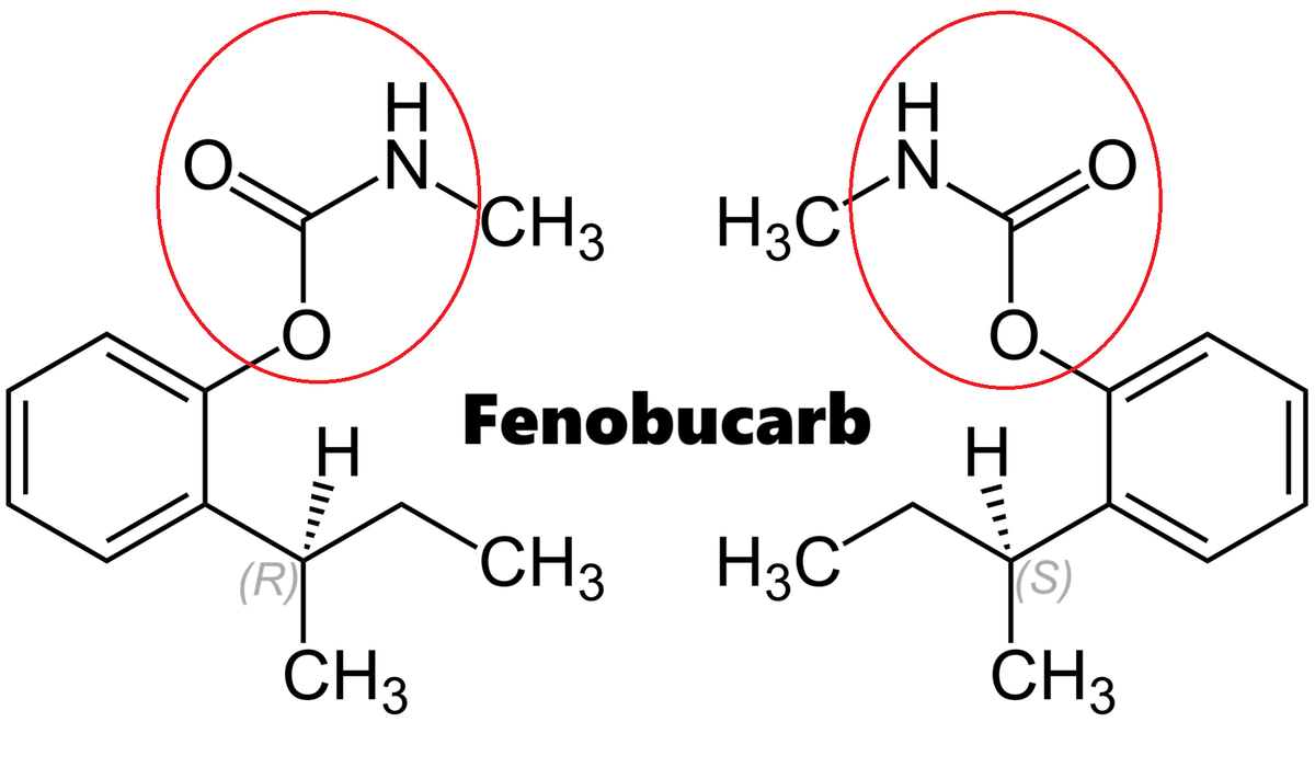 Hoạt chất trừ sâu Fenobucarb