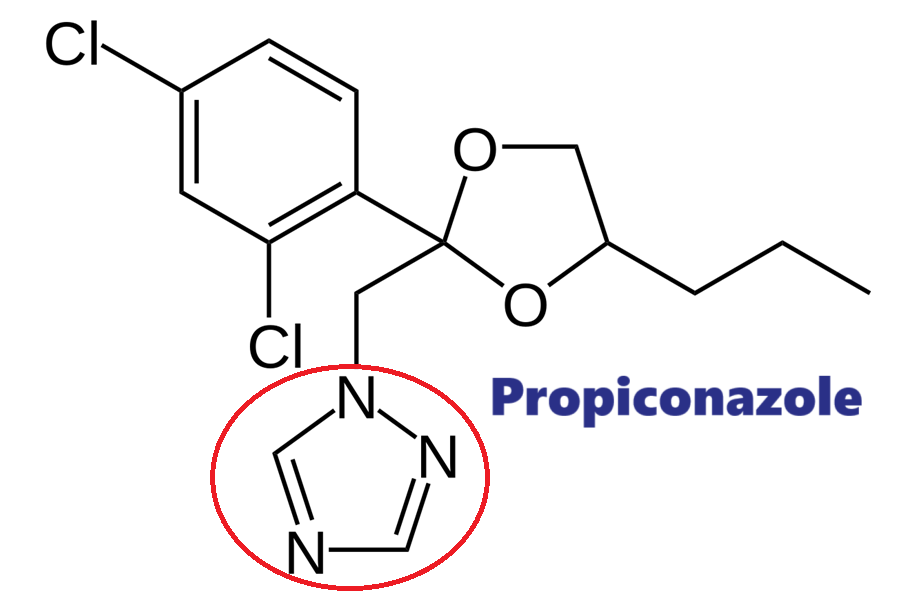 Hoạt chất trừ bệnh Propiconazole