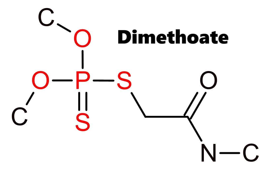 Hoạt chất trừ sâu Dimethoate