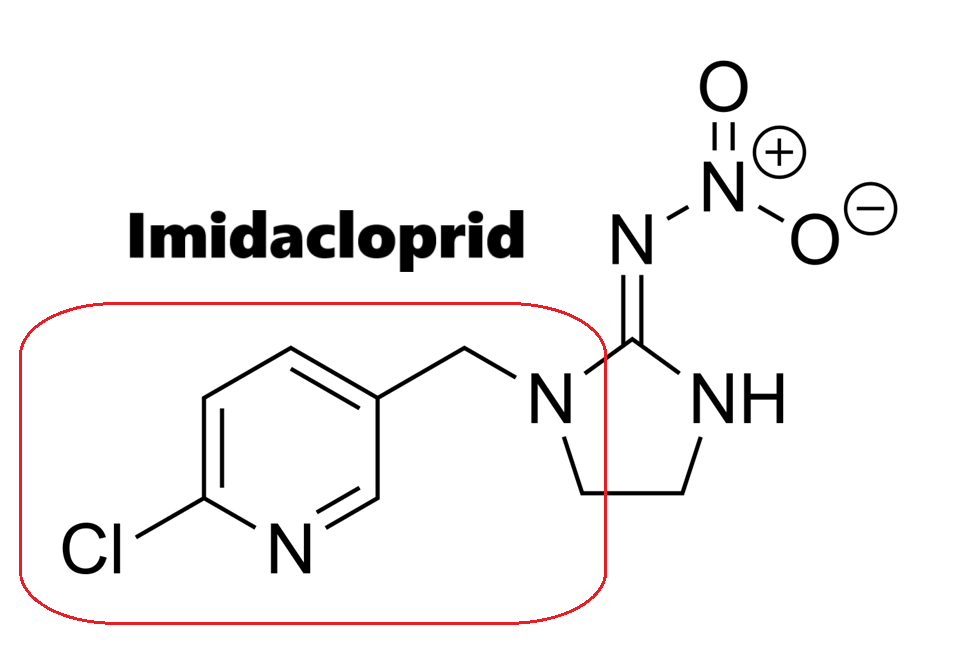 Hoạt chất trừ sâu Imidacloprid