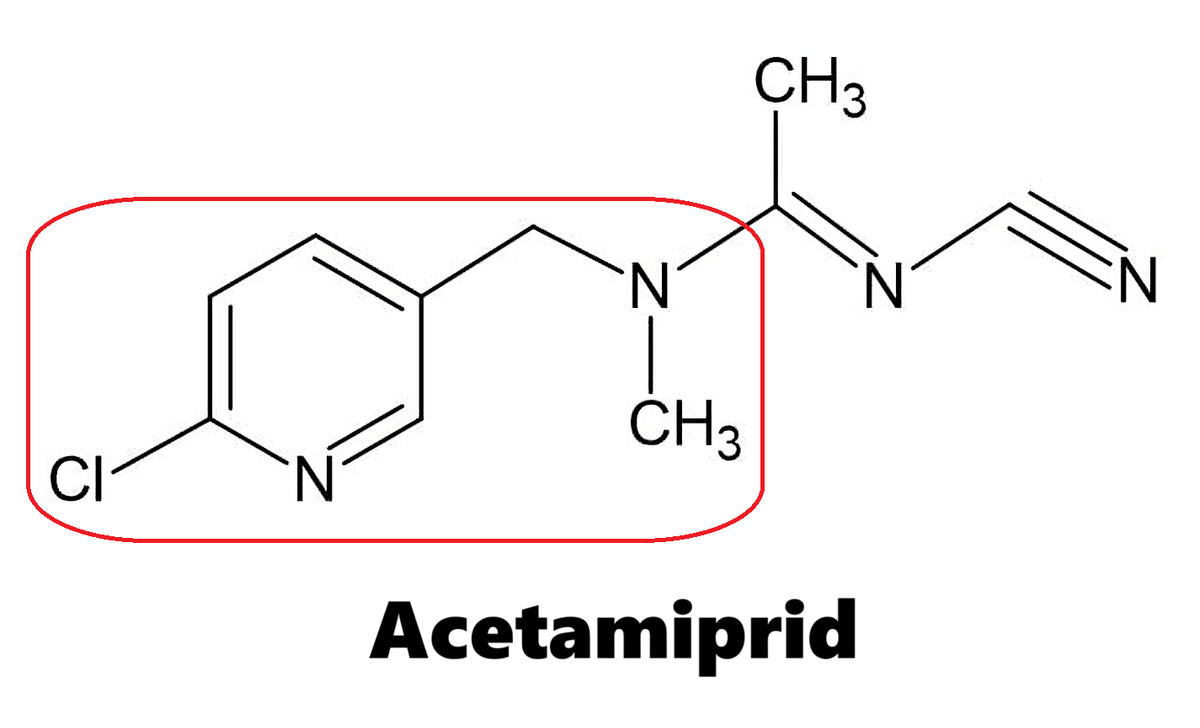 Hoạt chất trừ sâu Acetamiprid