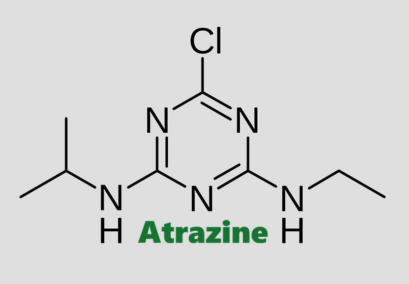 Hoạt chất trừ cỏ Atrazine
