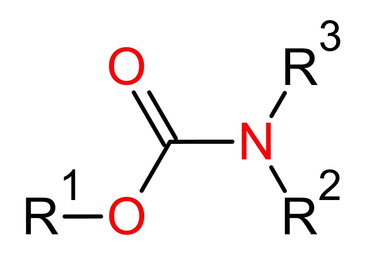 Nhóm thuốc trừ sâu Carbamate