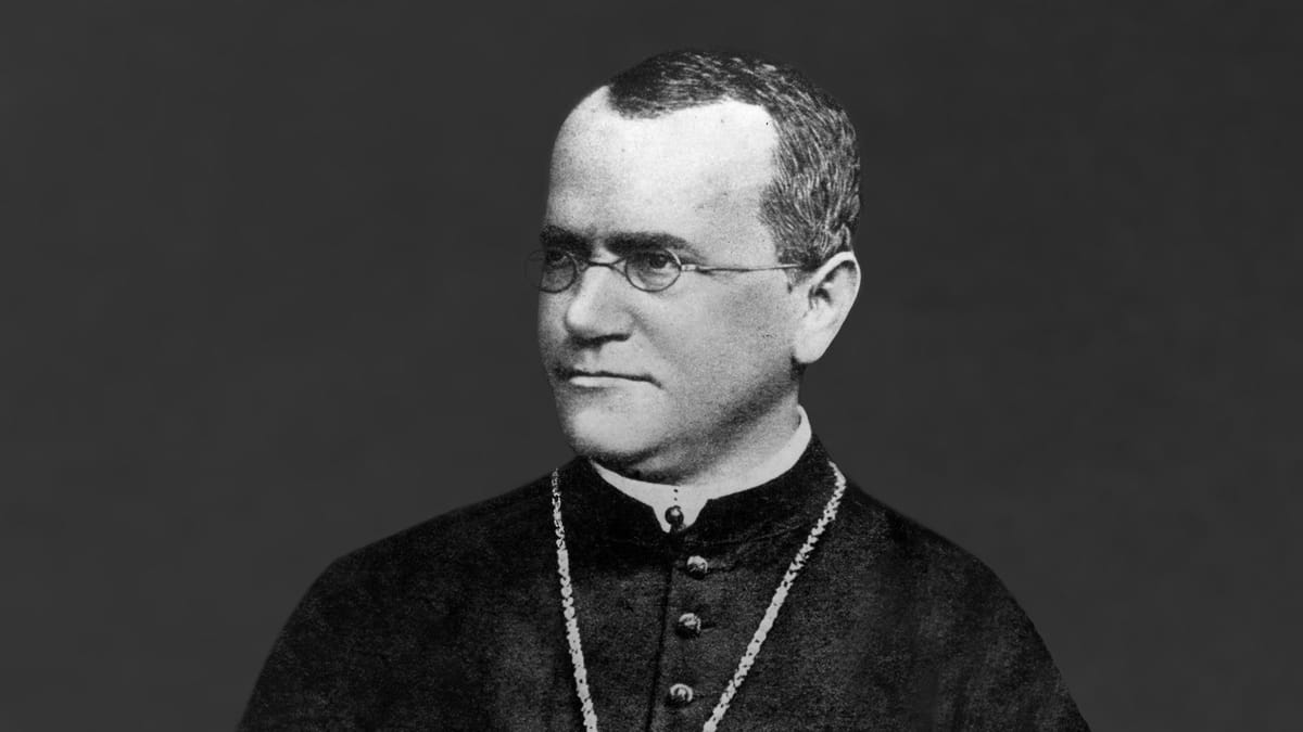 Gregor Mendel - cha đẻ di truyền học