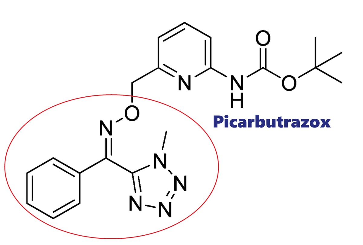 Hoạt chất trừ bệnh Picarbutrazox