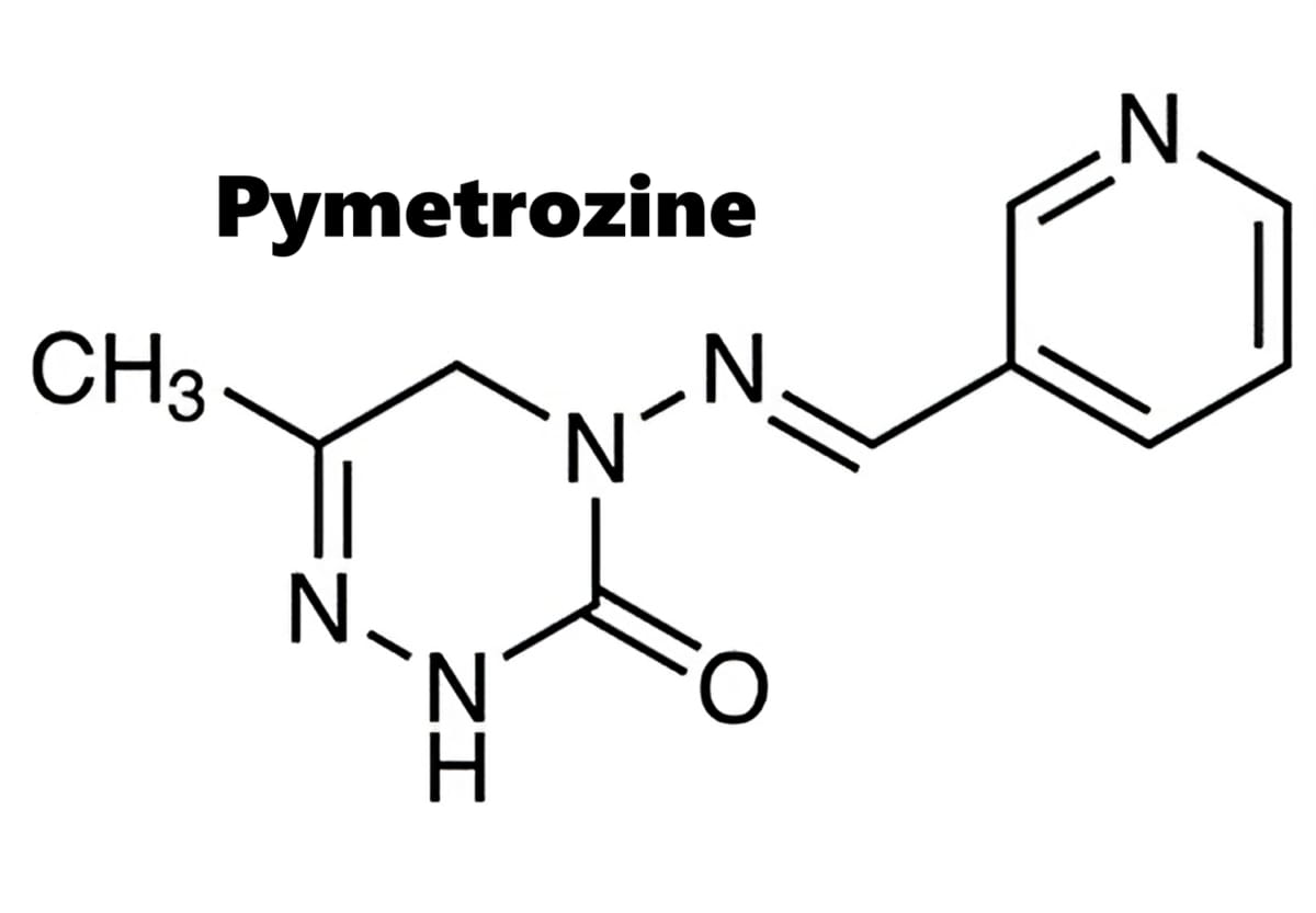 Hoạt chất trừ sâu Pymetrozine
