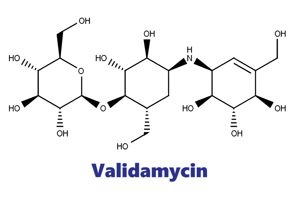 Hoạt chất trừ bệnh Validamycin A