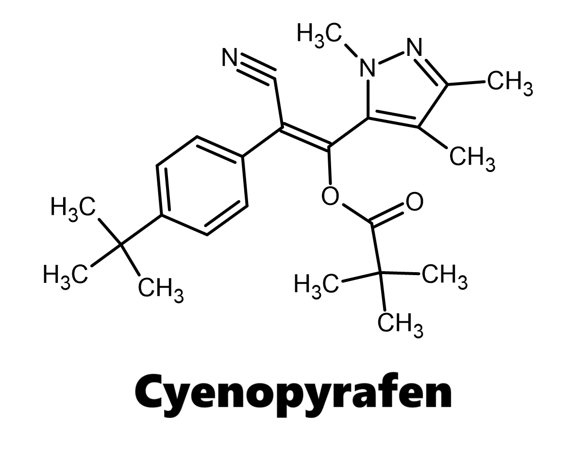 Hoạt chất trừ nhện Cyenopyrafen