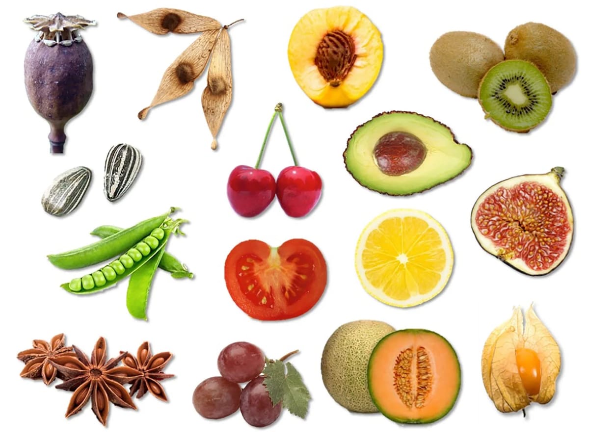 Sự hình thành và phát triển quả