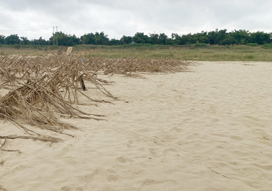 Đất Cát biển (Arenosols)