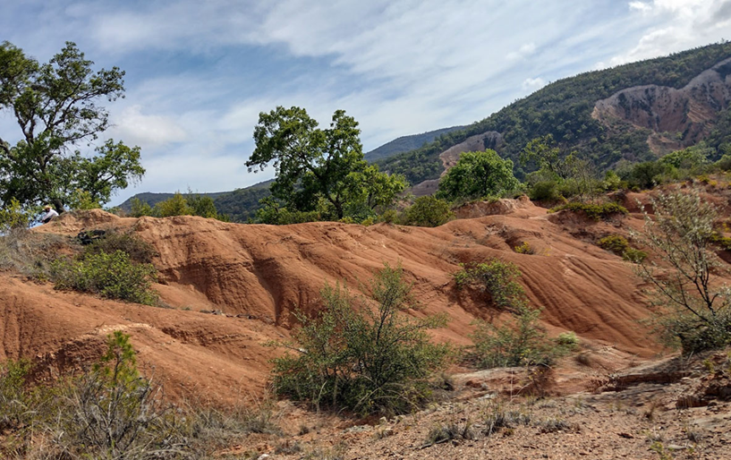 Đất đỏ vàng (Acrisols)