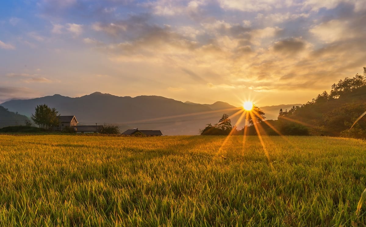 Mặt trời trong nông nghiệp