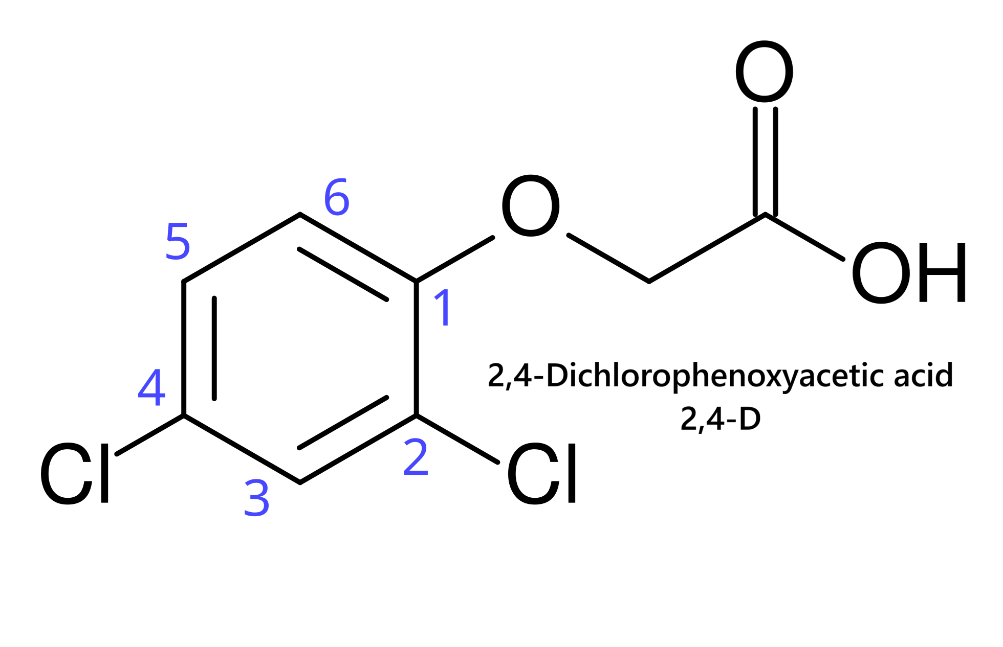 Điều hòa sinh trưởng 2,4-D