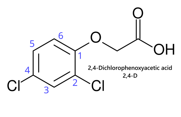 Điều hòa sinh trưởng 2,4-D