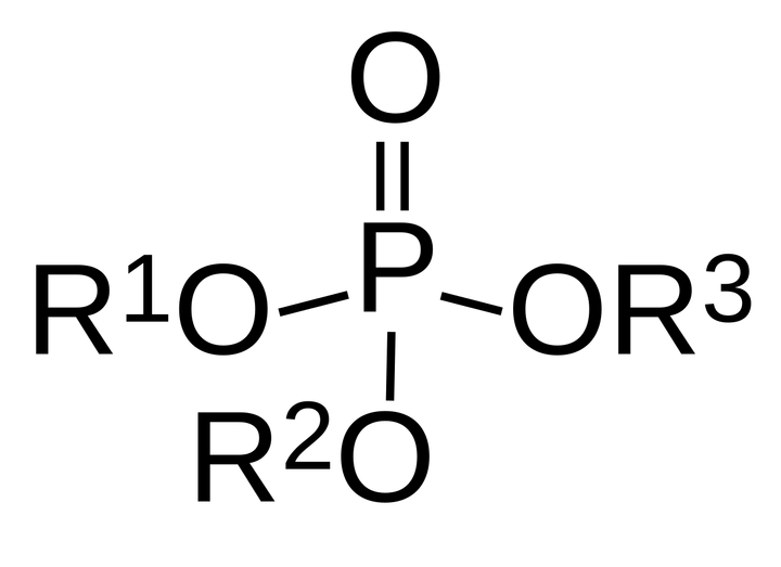 Nhóm thuốc trừ sâu Organophosphate