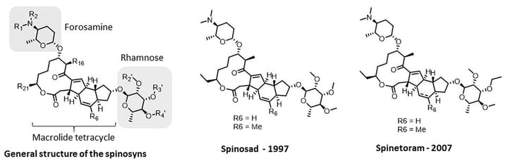 Nhóm thuốc trừ sâu Spinosyn