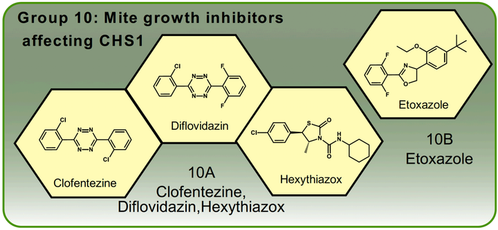 Nhóm thuốc trừ sâu Mite growth inhibitors