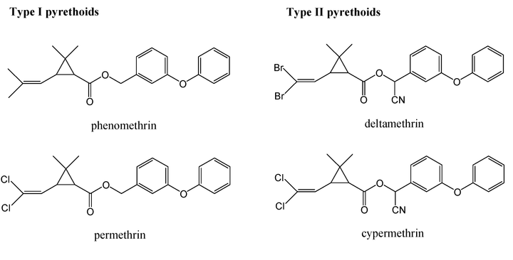 Nhóm thuốc trừ sâu Pyrethroid