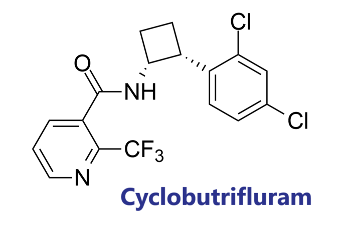 Hoạt chất trừ bệnh Cyclobutrifluram