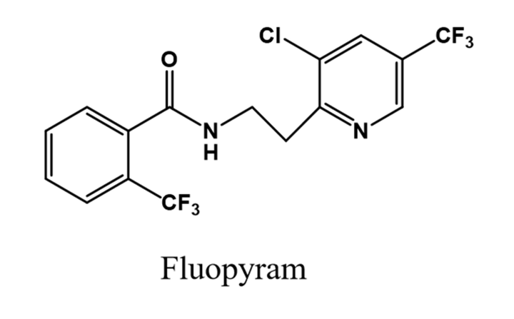 Hoạt chất trừ bệnh Fluopyram