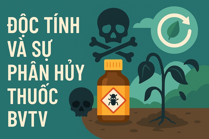 Độc tính và sự phân hủy thuốc BVTV