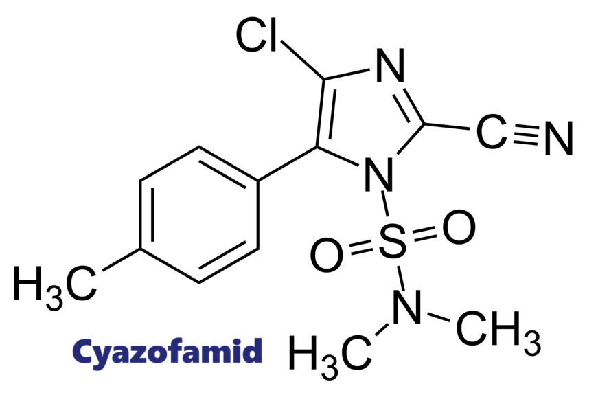 Hoạt chất trừ bệnh Cyazofamid