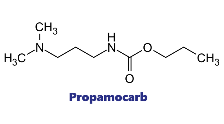 Hoạt chất trừ bệnh Propamocarb