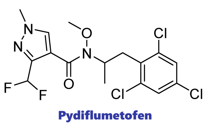 Hoạt chất trừ bệnh Pydiflumetofen