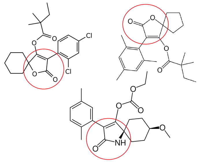 Nhóm thuốc trừ sâu Spiro
