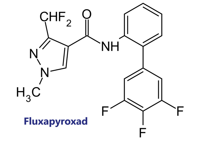 Hoạt chất trừ bệnh Fluxapyroxad