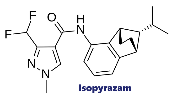 Hoạt chất trừ bệnh Isopyrazam
