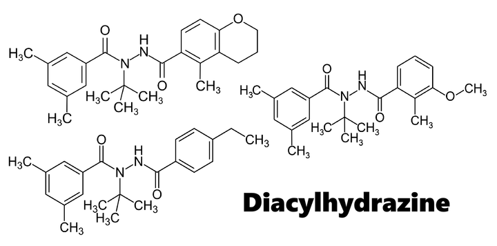 Nhóm thuốc trừ sâu Diacylhydrazine