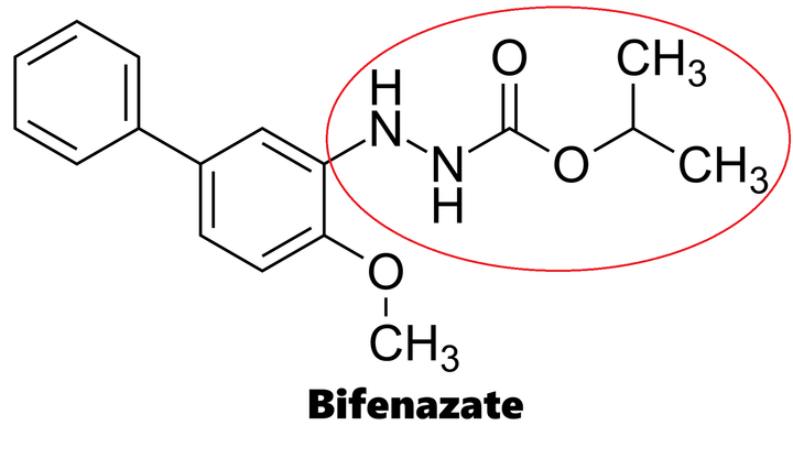 Hoạt chất trừ nhện Bifenazate