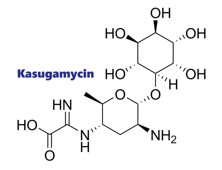 Hoạt chất trừ bệnh Kasugamycin