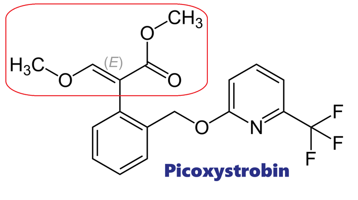 Hoạt chất trừ bệnh Picoxystrobin
